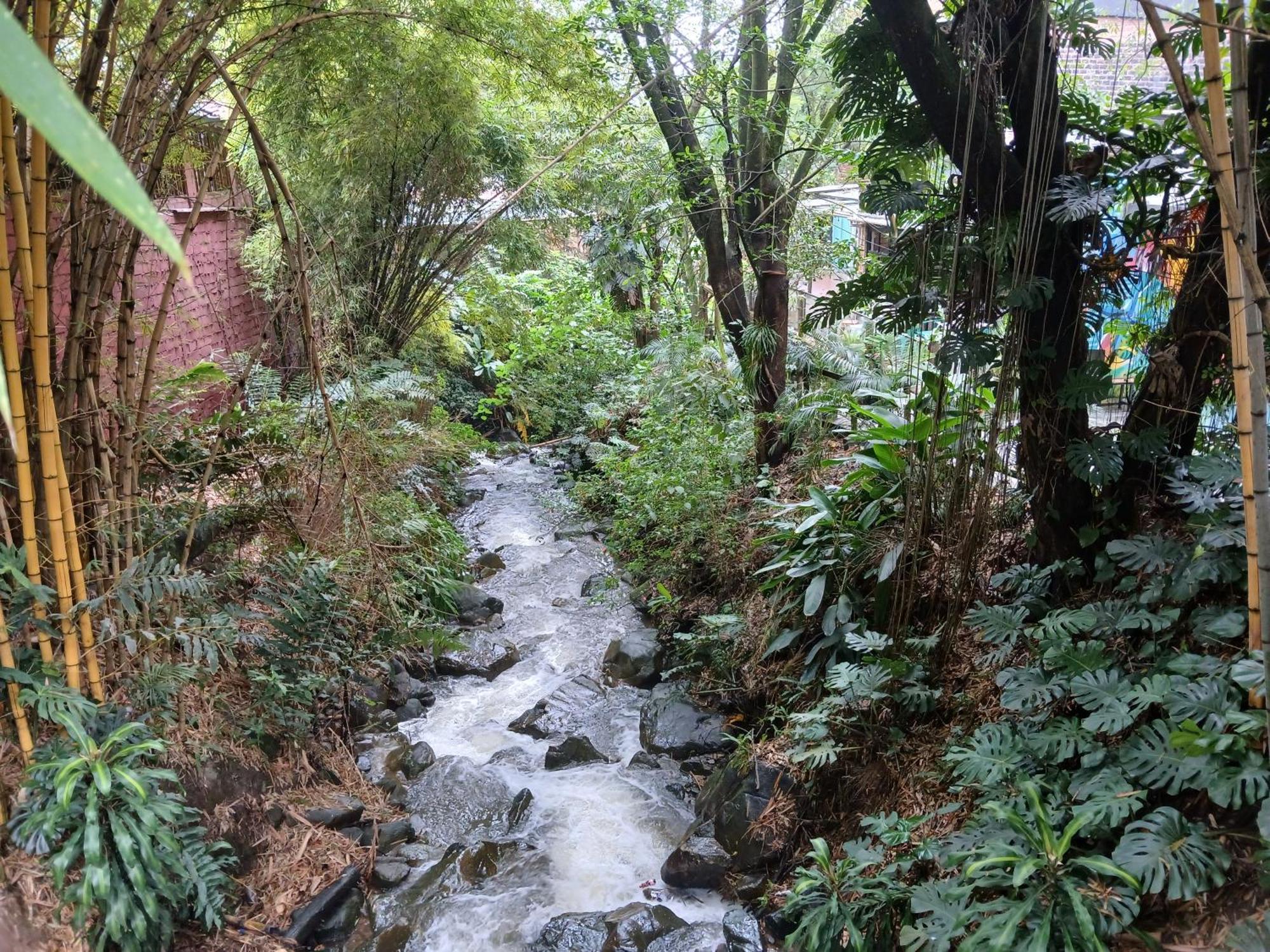 Yolo Hostel Medellín Exteriér fotografie